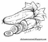 Cucumber Sketsa Mewarnai Sayuran Drawn sketch template