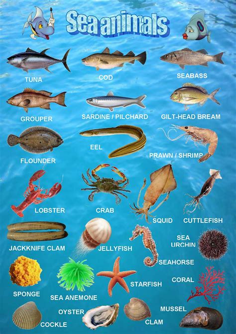 bilingual al yussana sea animals