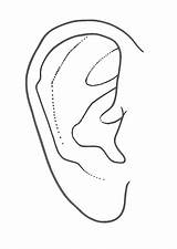 Coloring Ears Pages Ear Pair Popular sketch template
