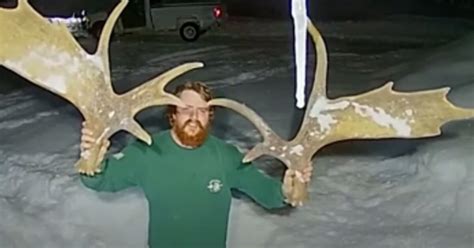 ring camera video moose sheds  antlers grand view outdoors