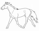 Horse Lineart Trotting Paarden Kleurplaat Paard Always Heart Deviantart Tekeningen Pages sketch template