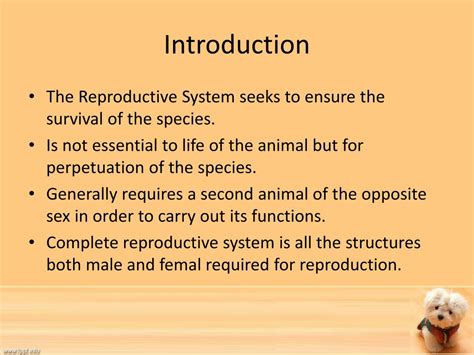 ppt the reproductive system chapter 17 powerpoint presentation free