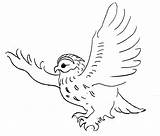 Owl Flying Coloring Pages Popular sketch template