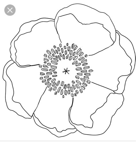 pin  wendy mcchristian  craft ideas flower drawing poppy drawing