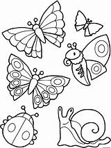Coloriage Escargot Coccinelle Papillon Betes Colorare sketch template