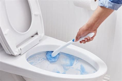 buy  toilet cleaner liquid    clean toilet stains