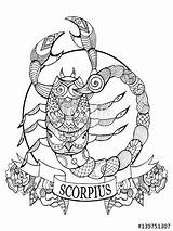 Scorpio Zodiac Scorpion Coloriage Signe Adults Mandala Zodiaque Colorir Vecteur Livre Escorpio Escorpi sketch template