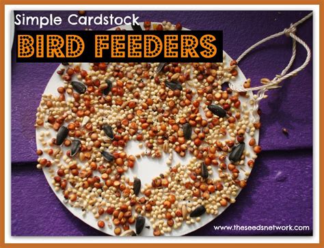 making simple cardstock bird feeders  preschool bird feeders bird