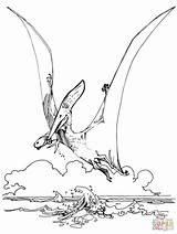 Pteranodon Supercoloring sketch template