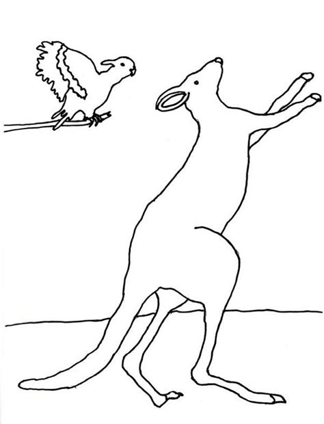 realistic kangaroo coloring pages