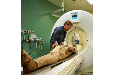 secret lives of ancient egyptians revealed by ct scans of mummies