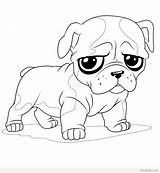 Dog Coloring Cool Pages Adult Getcolorings Printable sketch template