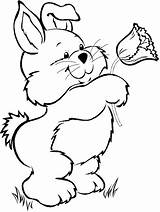 Bunny Coloring Pages Bugs Christmas Getcolorings sketch template
