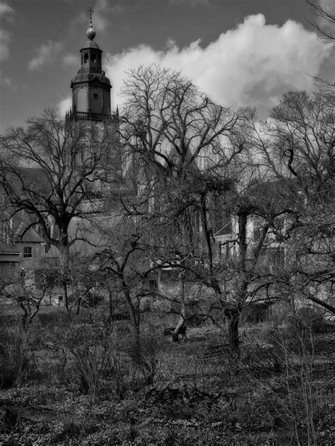 black  white photograph    building  trees   foreground