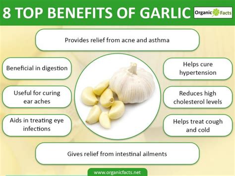 25 interesting benefits of raw garlic organic facts