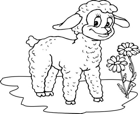 lamb  beautiful flower coloring page coloring sky flower
