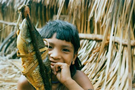 fires endangering uncontacted amazon indigenous groups