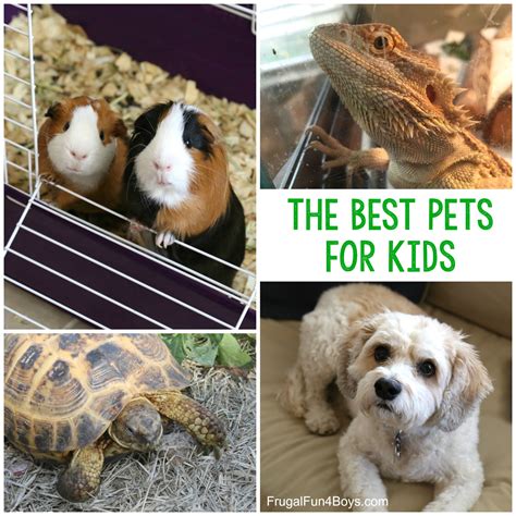 pets  kids choose   pet   child frugal