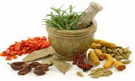 careful herbal remedies  dangerous   health