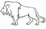 Lion Male Coloring Pages Printable Kids African sketch template