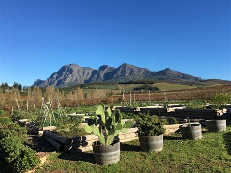 cape winelands south africa area guide  visit wine farms  guestbooks