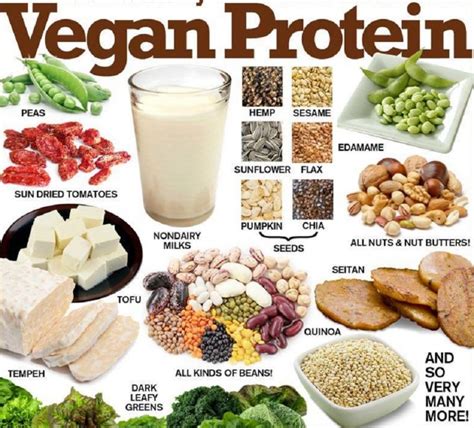 10 Super Healthy And High Protein Foods That Vegans Should Eat Table