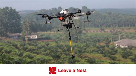 leave  nest challenges  diagnose plant disease  drones