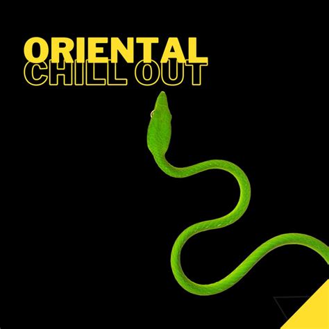 oriental chill out café chillout album by chill spotify