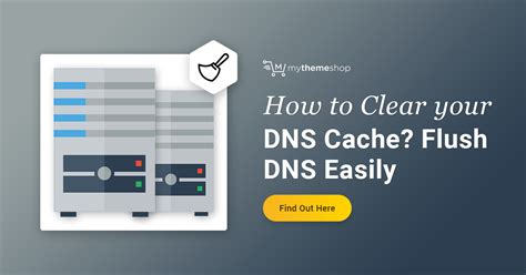 clear  dns cache flush dns easily mythemeshop