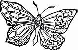 Coloring Butterfly Pages Printable Butterflies Filminspector Hope Fun Good sketch template