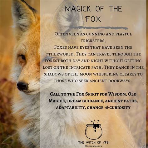 🌒🦊🌘 its witchy wisdom wednesday foxes just happen to be my favorite