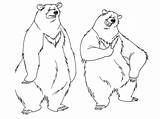 Bear Coloring Pages Realistic Kids Funny Titan Posted sketch template