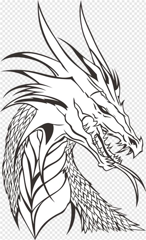 Blue Dragon Dragon Head Dragon Ball Logo Skyrim Dragon Dragon