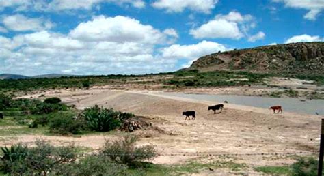 conaza impulso  las zonas aridas secretaria de agricultura ganaderia desarrollo rural