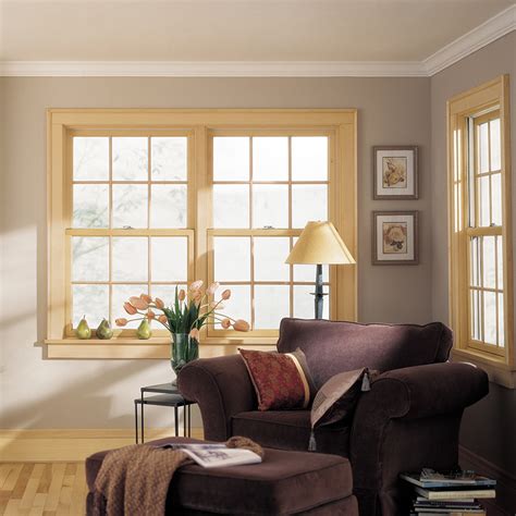 andersen  series windows indianapolis clevernest