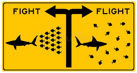 fight  flight clipart   cliparts  images  clipground