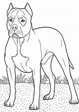 Coloring Pages Boxer Dog Backyard Guarding Guard Boxers Tocolor Color Dogs Sheets Kids Search sketch template
