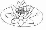 Lotus Coloring Flower Pages Colouring Printable Kids Print Clipart Book Sheets Mandala Template Transparent Webstockreview Coloringstar sketch template