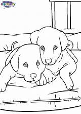 Bed Coloring Pages Puppies Two Getcolorings Getdrawings sketch template