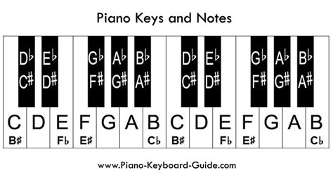 label piano keys white black  easy beginners piano lesson youtube