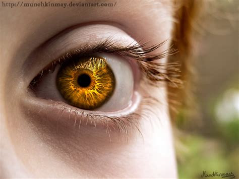 golden eyes  munchkinmay  deviantart