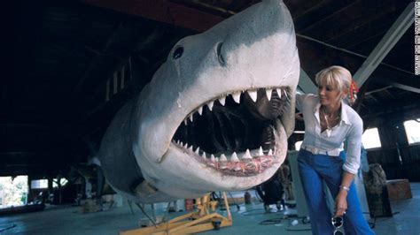 Valerie Taylor Filmed Sharks For Jaws Then She Dedicated Her Life