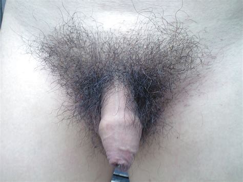 Hairy Foreskin Cock Uncut 11 Pics Xhamster