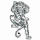 Tiger Tattoo Coloring Pages Tribal Animal Printable Mandala Print Template Favecrafts Adult Tattoos Drawing Book Head Getcolorings Getdrawings Sheets Color sketch template