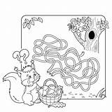 Coloring Tangled Labyrint Labyrinth Maze Puzzle Kleuters Kleurplaat Vector Vectorillustratie Onderwijs Eekhoorn Puzzel Overzicht Spel Mandje Kleurboek Paddestoelen Stockillustratie Verwarde sketch template