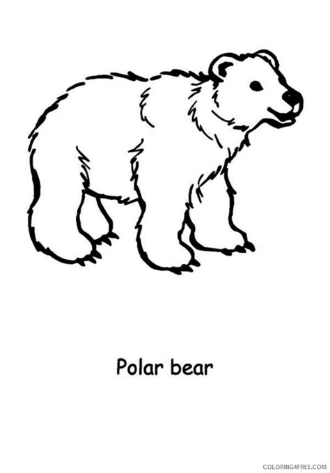 polar bear coloring sheet polar bear coloring pages