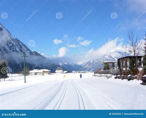 ski trail  single skier stock image image  cool mist