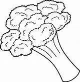 Vegetable Coloring Pages Broccoli Kids sketch template