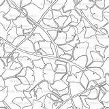 Leaves Ginkgo Spoonflower Outlines Branches Coloring Back sketch template