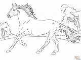 Horse Coloring Detailed Pages Getcolorings Color Printable Adults Colorings sketch template